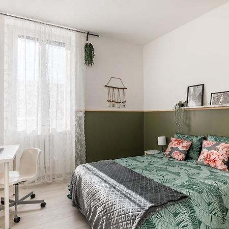 Superbe Appartement Cosy Avec Terrasse Saint-Etienne  Exterior photo