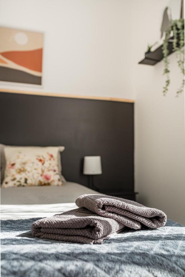 Superbe Appartement Cosy Avec Terrasse Saint-Etienne  Exterior photo